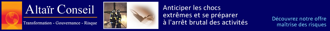 Alta�r Conseil bandeau gestion des risques